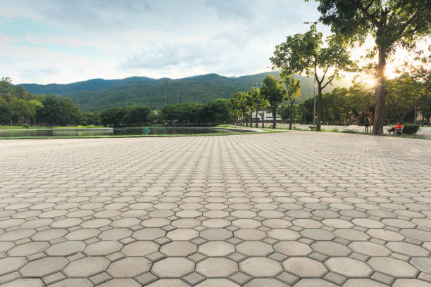 Best Residential Driveway Paver Services  in Waimalu, HI